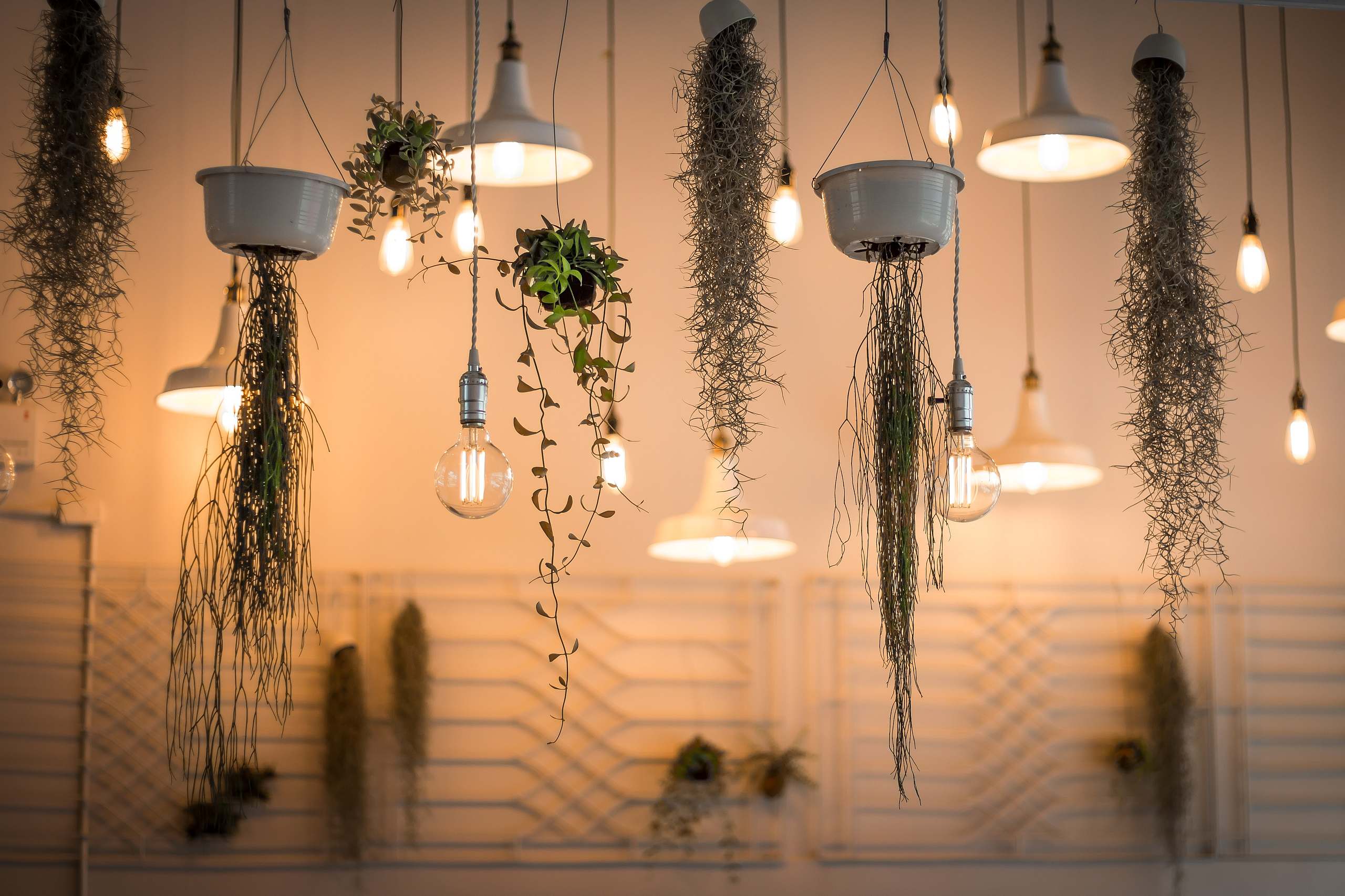 outdoor lighting