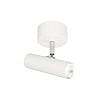 vector1ltwhite vector1ltwhite