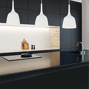 Polk Promo20